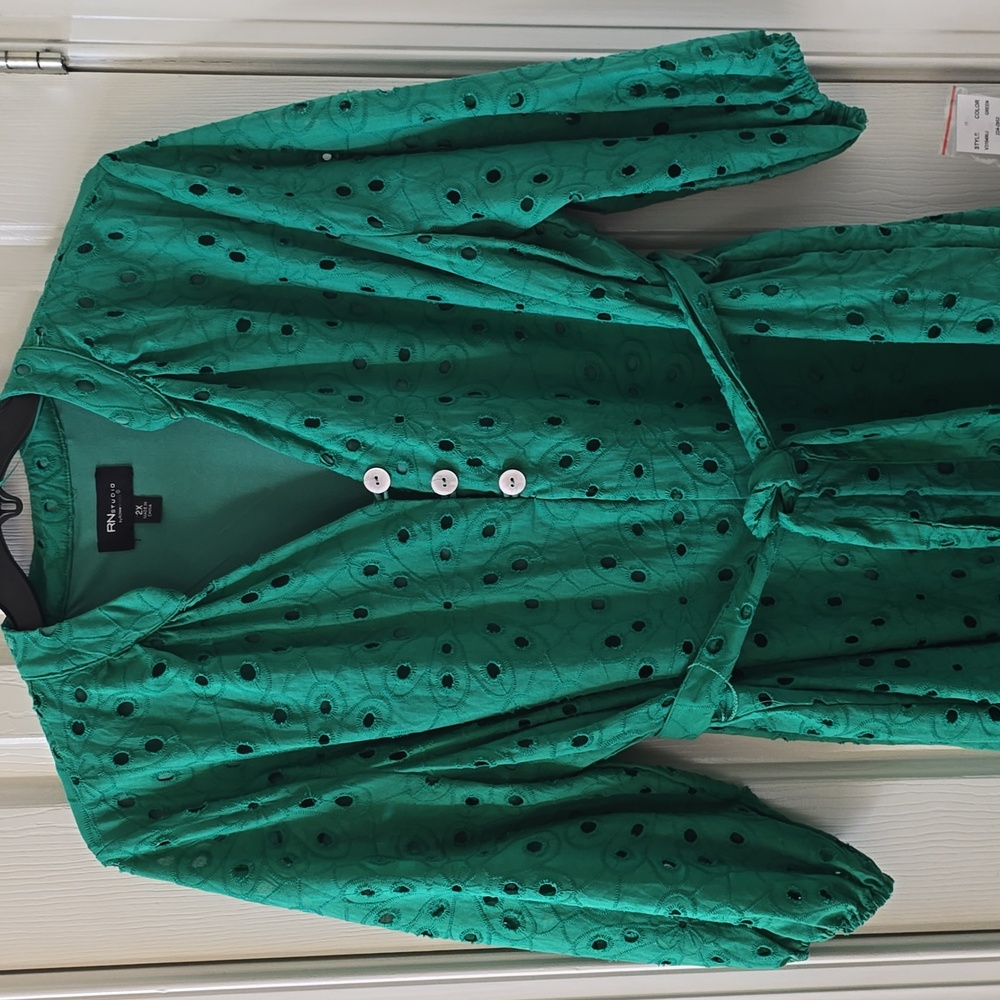 RN STUDIO BRAND WOMEN'S PLUS SIZE GREEN EYELET FABRIC FULLY LINED DRESS SIZE 2X